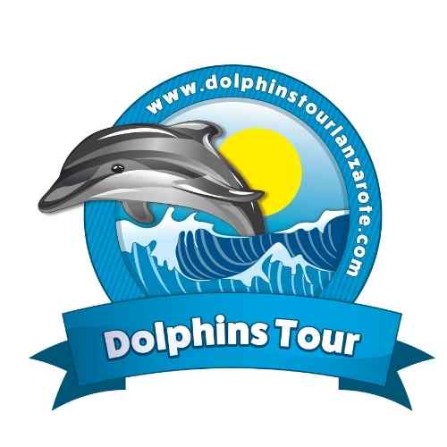 dolphin tours lanzarote